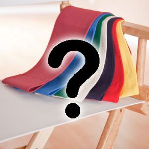 CUSTOM SIZE Canvas Directors Chair Replacement Cover Set